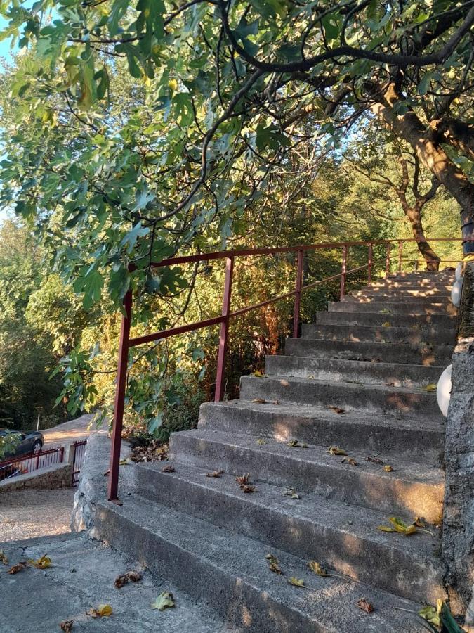 Apartmani Mia Rada Budva Exteriör bild